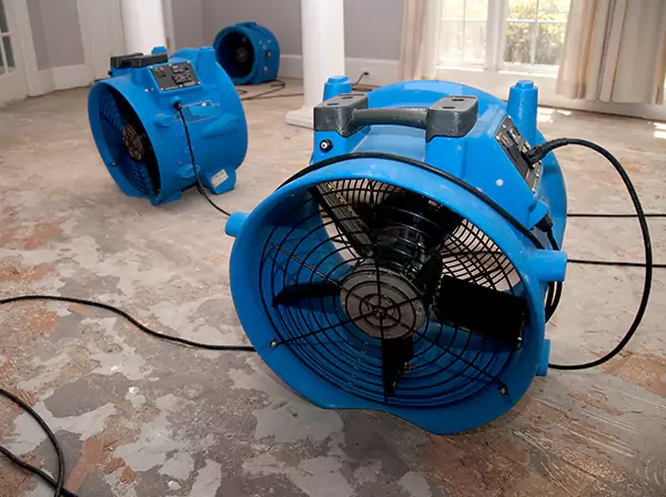 Water Damage Reconstruction in Sargent