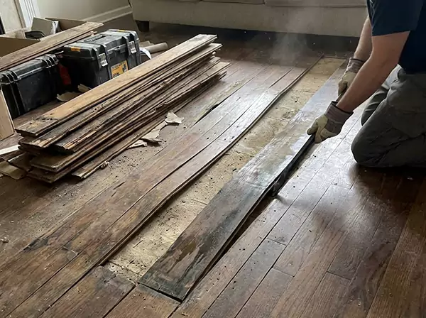 Water Damage Drying in Sargent