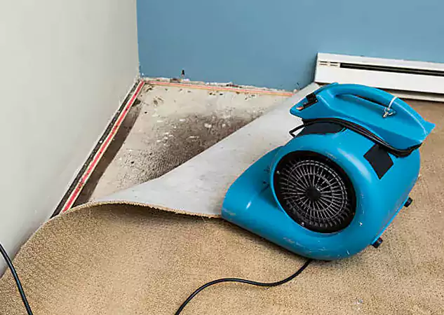 Your Water Damage Experts in Sargent, GA