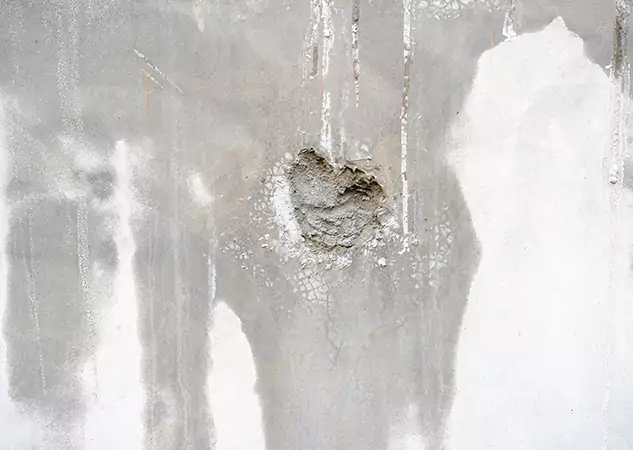 Your Mold Mitigation Solutions Partner in Sargent, GA
