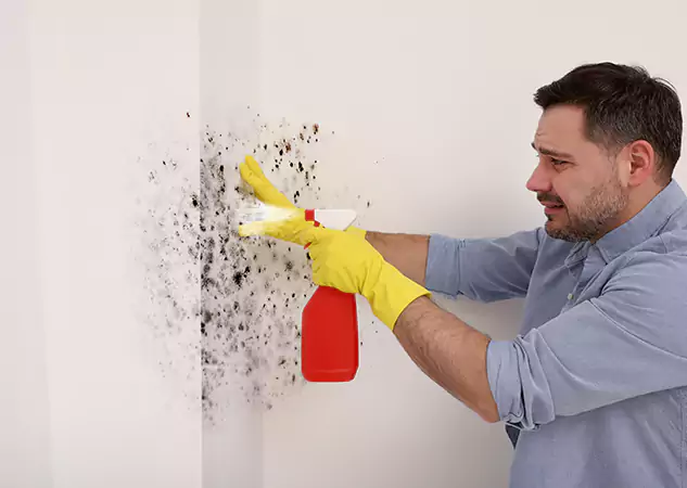 Your Water Mold Fire Restoration Partner in Sargent, GA