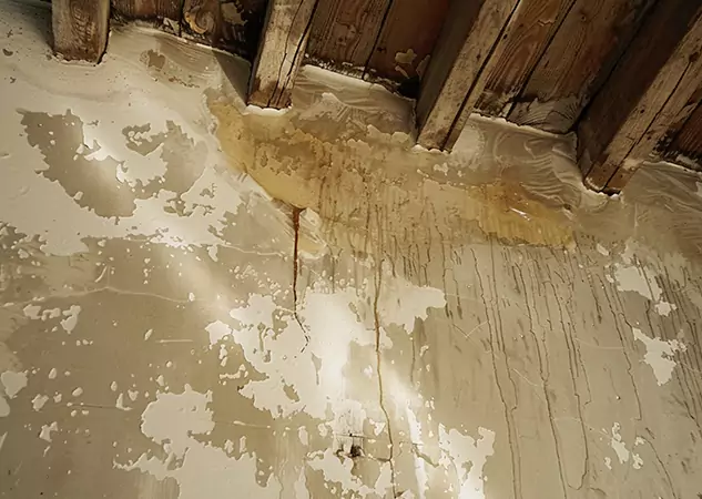 Your Trusted Restoration Company in Sargent, GA