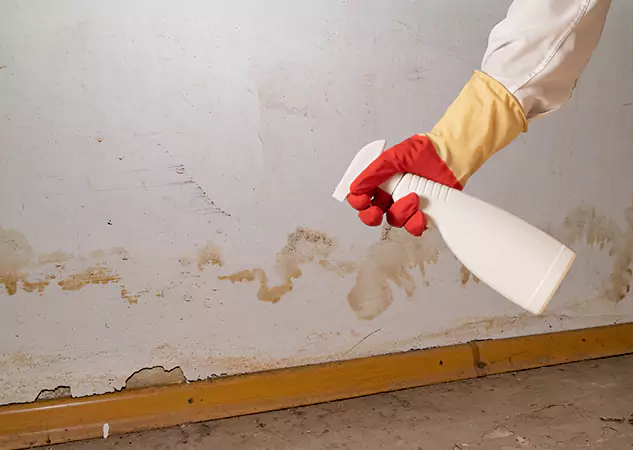 Your Water Restoration and Mold Remediation Specialists in Sargent, GA