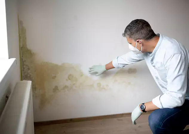Reach Our Remediation Team Before Damage Grows in Sargent, GA!