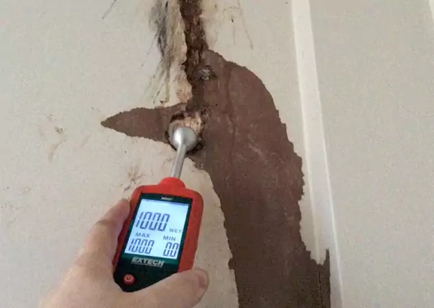 Your Water Damage Assessment Partner in Sargent, GA