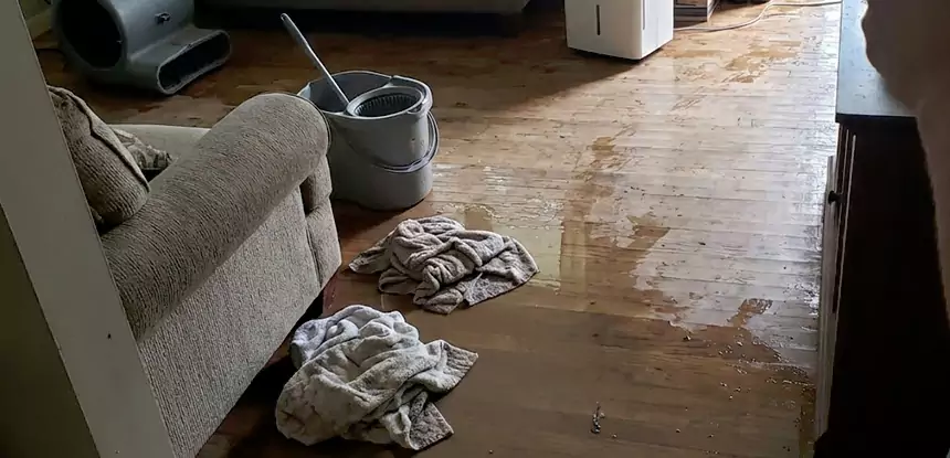 Professional Basement Water Remediation Services in Sargent, GA