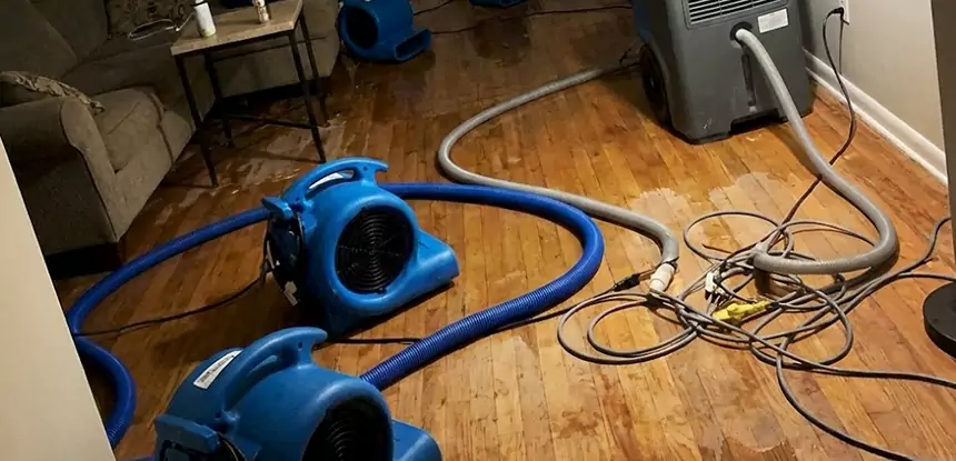 Basement Flood Restoration Services in Sargent