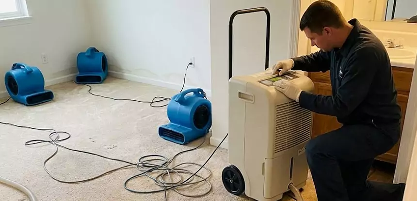 Water Damage Restoration in Sargent
