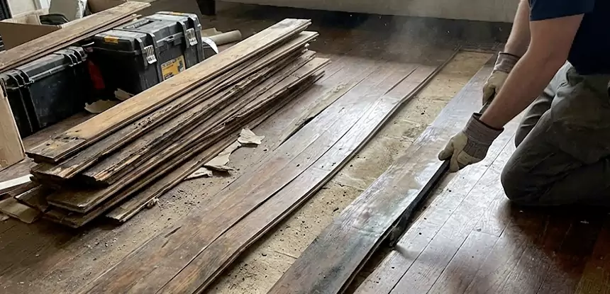 Wood Rot and Fungus Repair in Sargent