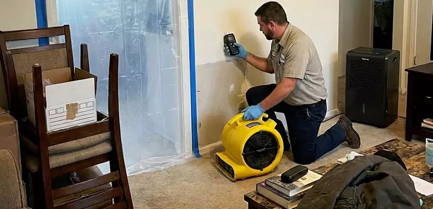 Carpet Water Damage Repair Sargent
