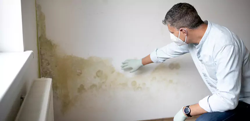 Mold and Water Damage Repair in Sargent
