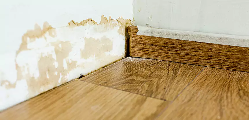 Professional Fix Water Damaged Wood Services in Sargent, GA