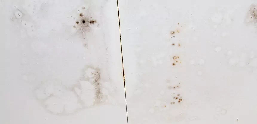 Professional Water Stain Repair Services in Sargent, GA