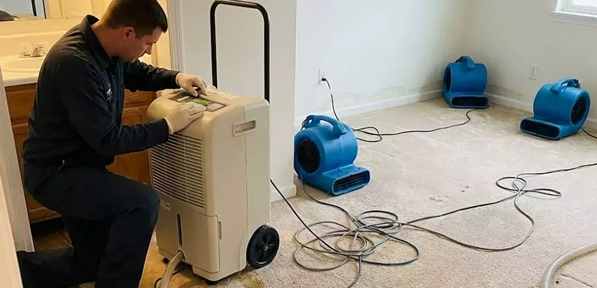 Professional Wet Carpet Removal Services in Sargent, GA
