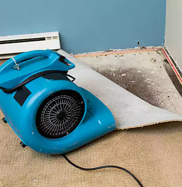 Why Sargent Trusts Sargent Restoration Pro for Carpet Flood Recovery?