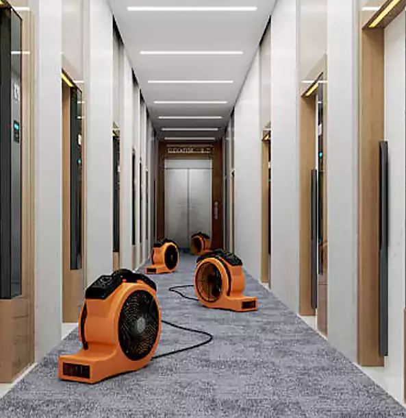 Why Sargent Trusts Sargent Restoration Pro?