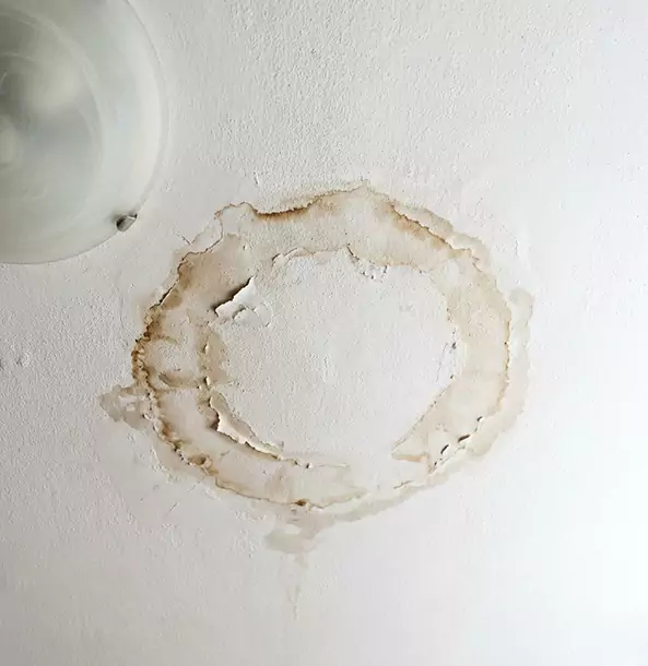 Why Sargent Property Owners Choose Sargent Restoration Pro for Ceiling Water Damage Restoration?