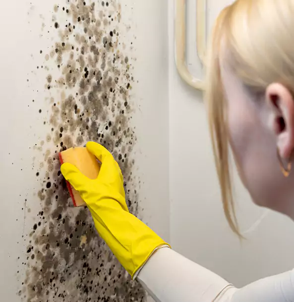 Why Sargent Restoration Pro Leads Mold Remediation in Sargent?