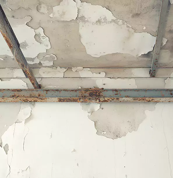 Why Sargent Restoration Pro Is the Right Choice in Sargent, GA?