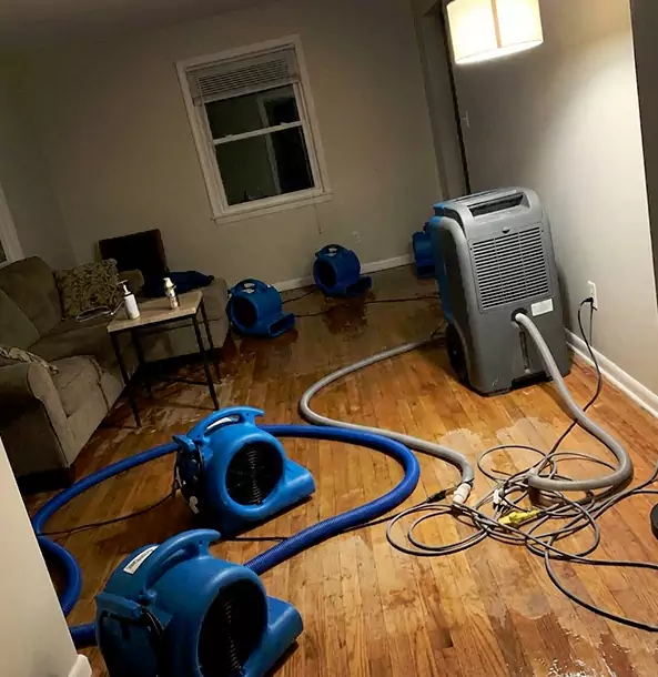Why Sargent Property Owners Rely on Sargent Restoration Pro for Remediation?