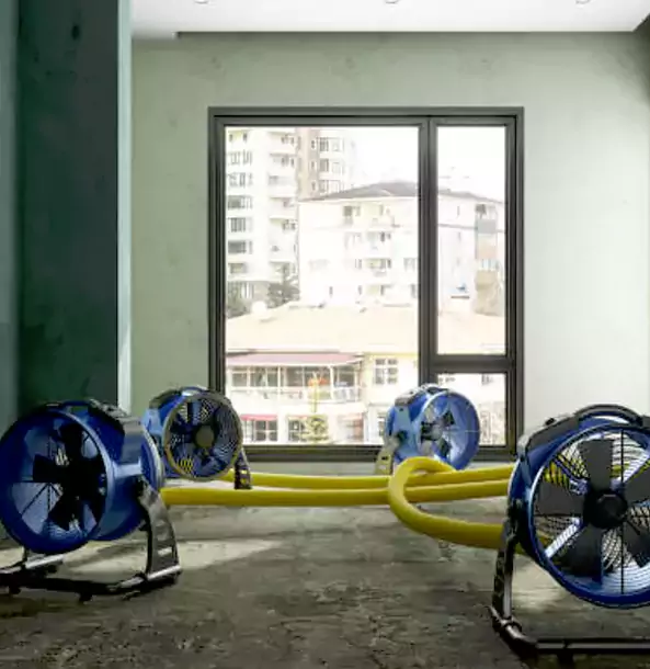 Why Sargent Property Owners Trust Sargent Restoration Pro for Water Damage Drying?