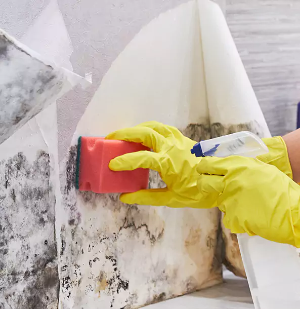 Why Sargent Trusts Sargent Restoration Pro for Mold and Water Restoration?