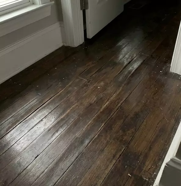 Why Sargent Homeowners Trust Sargent Restoration Pro to Fix Water Damaged Wood?