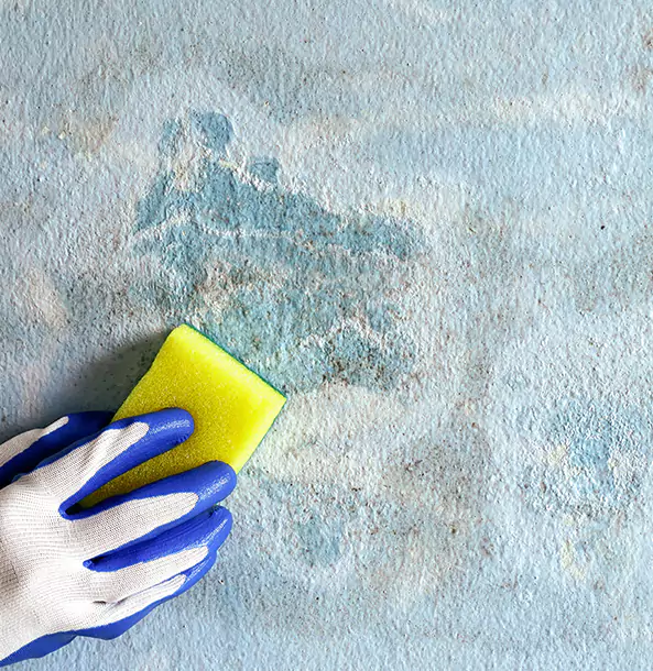 Why Sargent Restoration Pro Is the Right Choice in Sargent, GA?