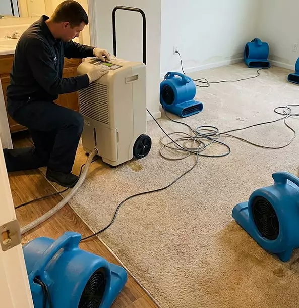 Why Sargent Homeowners and Businesses Trust Sargent Restoration Pro for Carpet Drying?