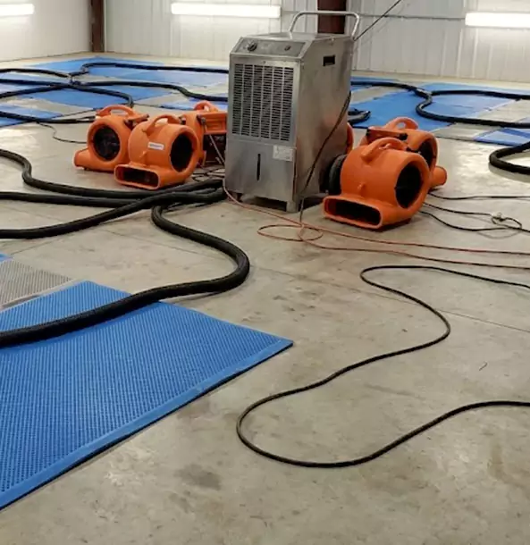 Why Sargent Homeowners and Businesses Choose Sargent Restoration Pro for Wet Carpet Removal?