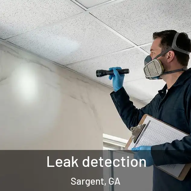  Leak detection Sargent, GA