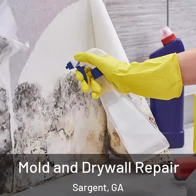  Mold and Drywall Repair Sargent, GA