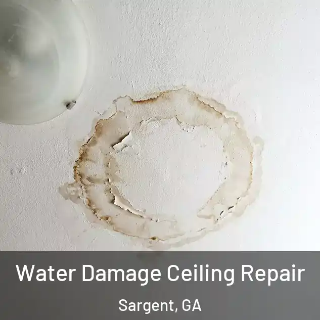  Water Damage Ceiling Repair Sargent, GA