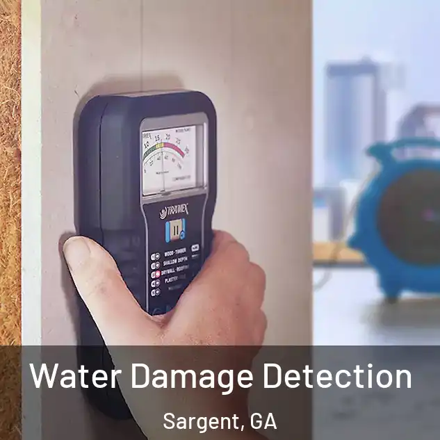  Water Damage Detection Sargent, GA