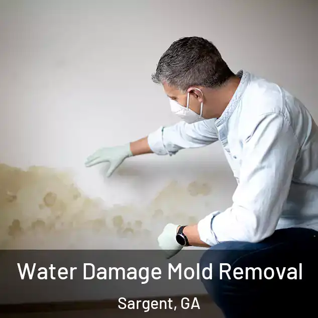  Water Damage Mold Removal Sargent, GA