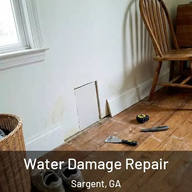  Water Damage Repair Sargent, GA