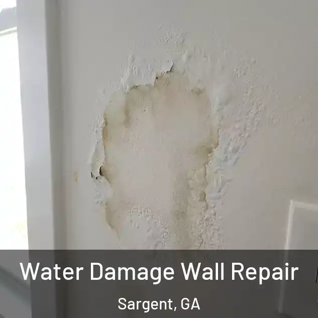  Water Damage Wall Repair Sargent, GA