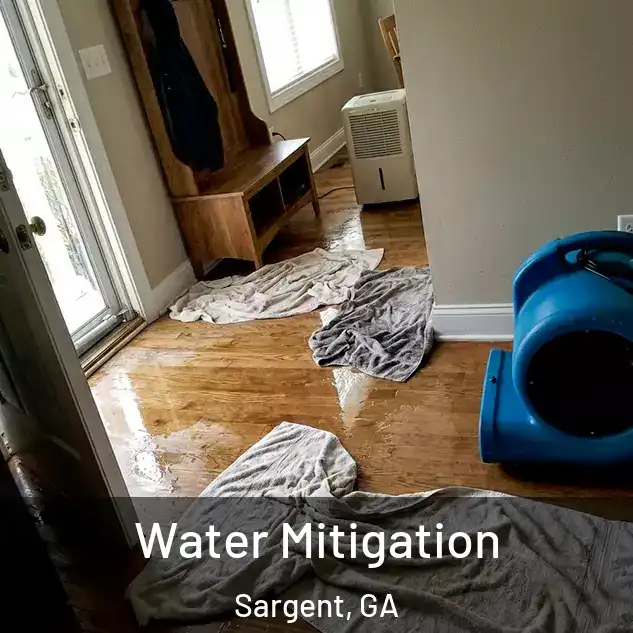  Water Mitigation Sargent, GA