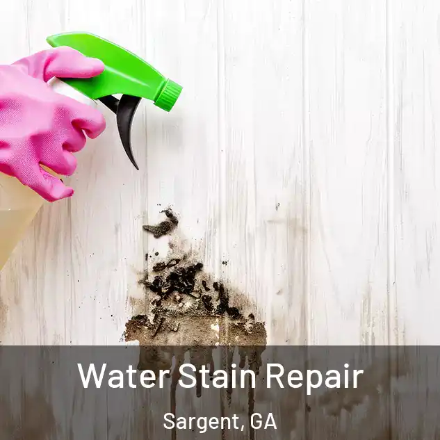  Water Stain Repair Sargent, GA