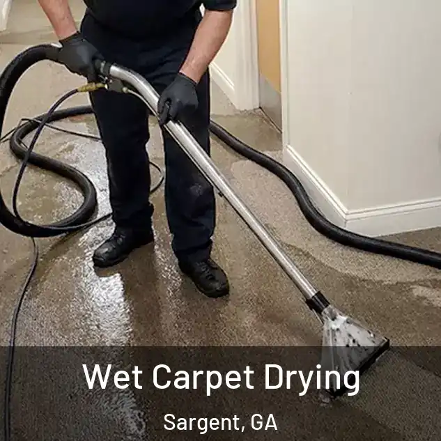  Wet Carpet Drying Sargent, GA